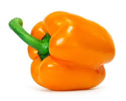 Capsicum